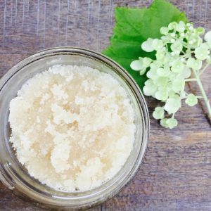 اسکراب لایه بردار صورت نارگیل اندونزیایی فریمن بیوتی Freeman Beauty Exfoliating Face Scrub Indonesian Coconut 175 ml
